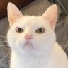 Profilbild von Rafael