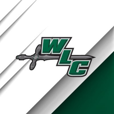 WLCSports's profile picture