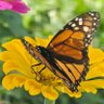 EvelynRoseBWx profil fotoğrafı