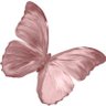 ؛ profil fotoğrafı