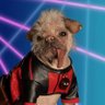 Denis 007's profile picture