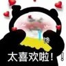 帅气蟑螂 的头像