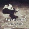 heidininekmegi's profile picture