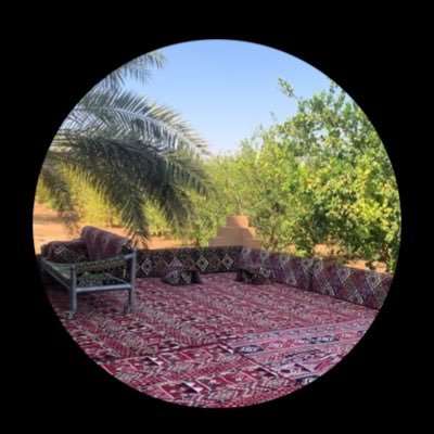 abo8fa's profile picture