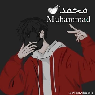 Mohammed Alk's profile picture