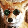 Fox the Wannabe profil fotoğrafı