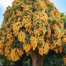 Фото профиля بو عمار