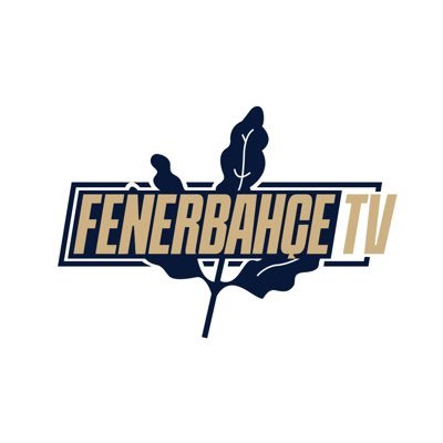 Fenerbahçe TV's profile picture