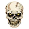 Valter Lima's profile picture