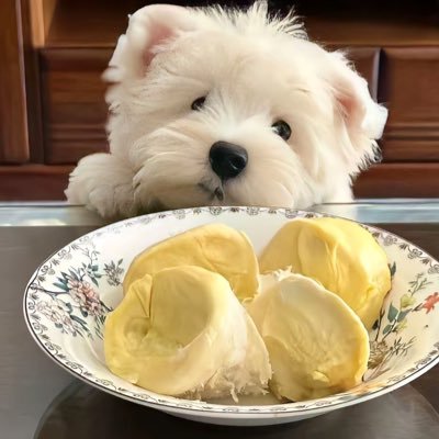 doulaoshi888's profile picture