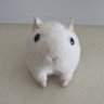 Фото профиля しろはむ