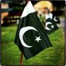 Profilbild von قاسم خان