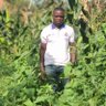 Profilbild von Alex Muyomba