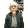 Profilbild von どんぐり