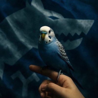 Prof. Dr. Cicikuş's profile picture