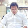Profilbild von Hamza Rana