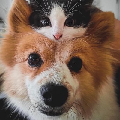 samesama4's profile picture