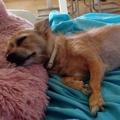 maryvarelaGH's profile picture