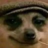 lonkan's profile picture