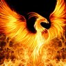 PHOENIX 的头像