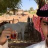 سادات العرب🇸🇦🐪🌴 的头像