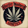 Profilbild von ReeferMadness Genetics-Stoner Dave