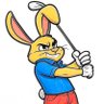 WeekendWarriorGolf 的头像