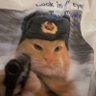 Profilbild von 雾霾柠檬茶