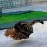 napim profil fotoğrafı