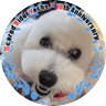 れいちょる🐩 的头像