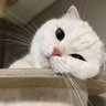 จจ.♡ 的头像