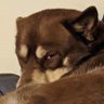 Profilbild von N8 Higgers