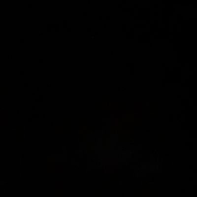 txmp_bx's profile picture