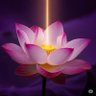Profilbild von Peaceful strength to reinforce democracy.