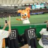 Фото профиля キセル