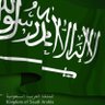 Profilbild von 🇸🇦
