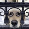 Evan's profile picture