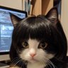 肉まん好き 的头像