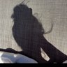 myauntsmixer's profile picture