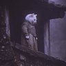 Yapperman007's profile picture