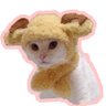 moo! chamoy pickle sam enthusiast's profile picture