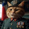 Orange Cat Pinochet 的头像