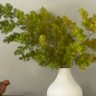 Фото профиля 邑麻 絹