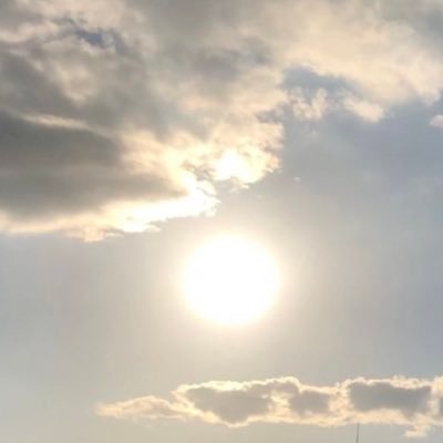 ちきゅう。's profile picture