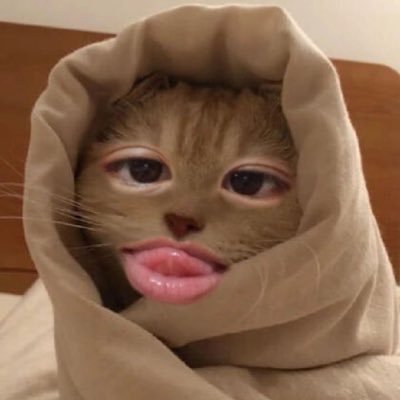 sexwithloves's profile picture