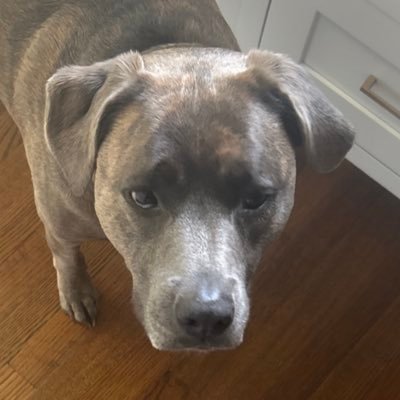 lostgem62's profile picture
