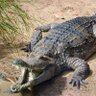 mokwena's profile picture
