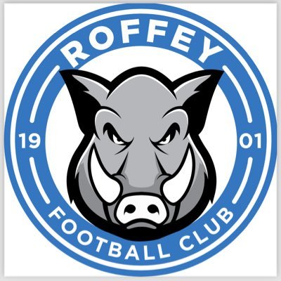 Roffey Football Club's profile picture
