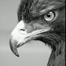 GIZERIC's profile picture
