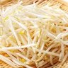 明太パスタ profil fotoğrafı